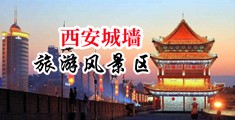 尿逼里中国陕西-西安城墙旅游风景区