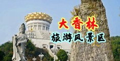 男人jj进入女人bb的视频中国浙江-绍兴大香林旅游风景区